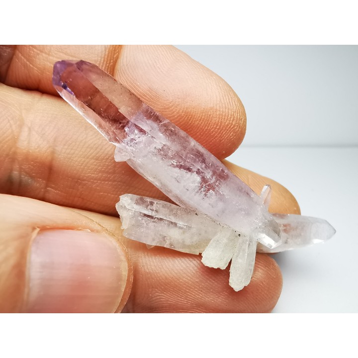 Quartz Amethyste  - Veracruz, Mexique
