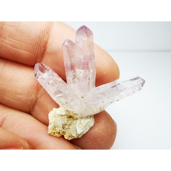 Quartz Amethyste  - Veracruz, Mexique