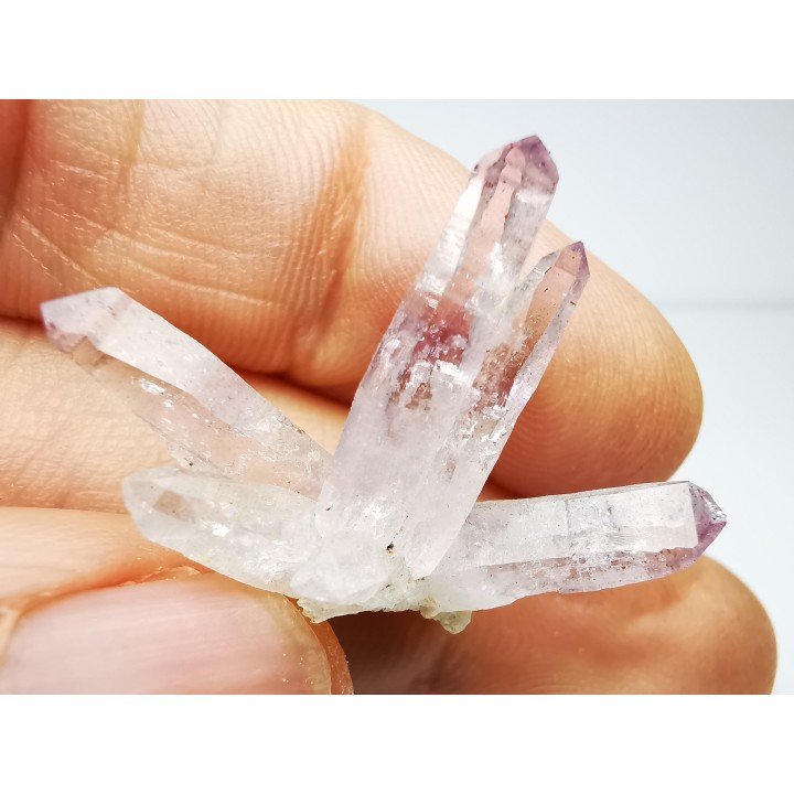 Quartz Amethyste  - Veracruz, Mexique