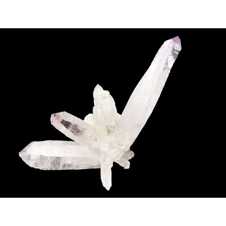 Quartz Amethyste  - Veracruz, Mexique
