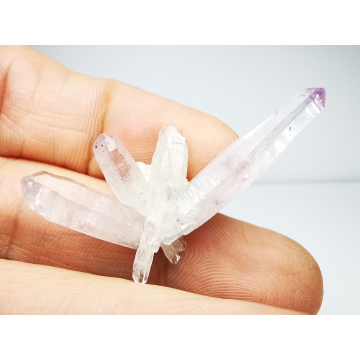 Quartz Amethyste  - Veracruz, Mexique