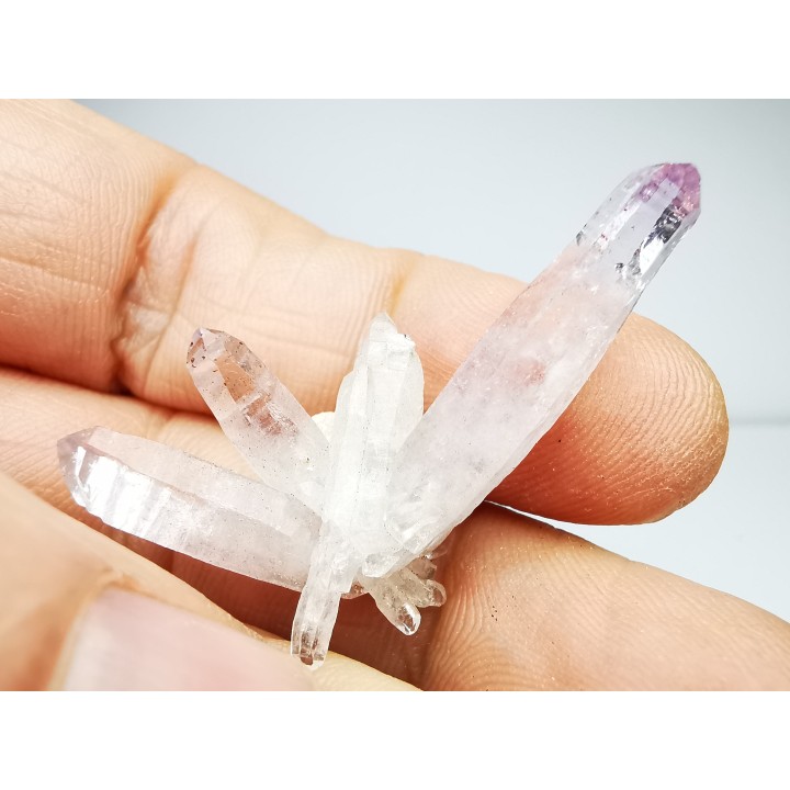 Quartz Amethyste  - Veracruz, Mexique