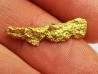 Gold nugget - Nevada, USA