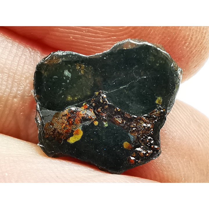 METEORITE pallasite Seymchan