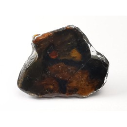 METEORITE pallasite Seymchan