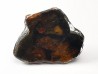 METEORITE pallasite Seymchan