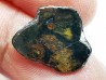 METEORITE pallasite Seymchan