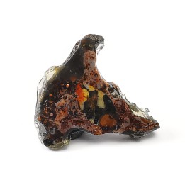 METEORITE pallasite Seymchan