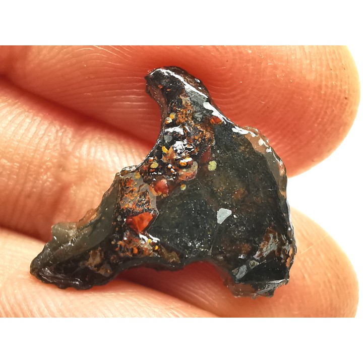 METEORITE pallasite Seymchan