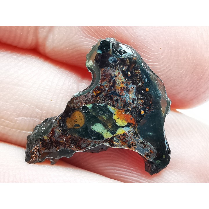 METEORITE pallasite Seymchan
