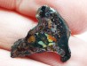 METEORITE pallasite Seymchan