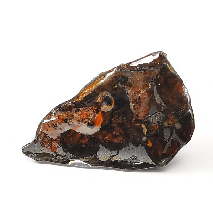 METEORITE pallasite Seymchan