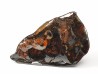 METEORITE pallasite Seymchan