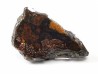 METEORITE pallasite Seymchan