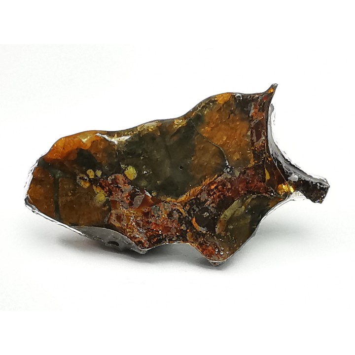 METEORITE pallasite Seymchan