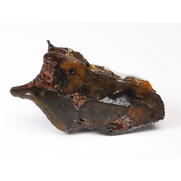 METEORITE pallasite Seymchan
