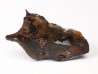 METEORITE pallasite Seymchan