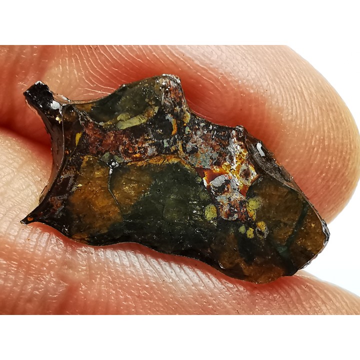 METEORITE pallasite Seymchan