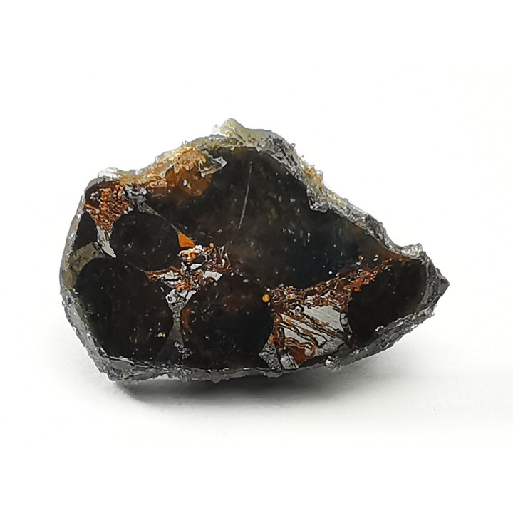 METEORITE pallasite Seymchan