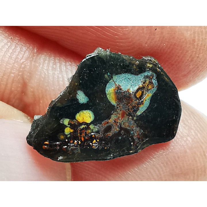 METEORITE pallasite Seymchan