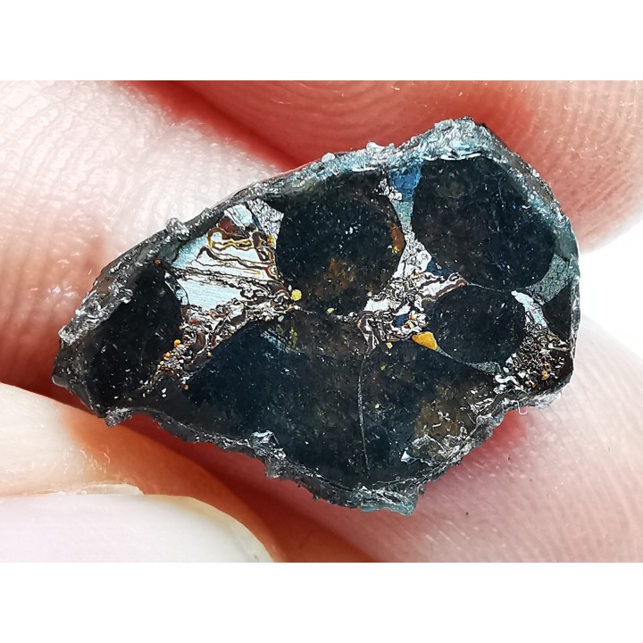 METEORITE pallasite Seymchan