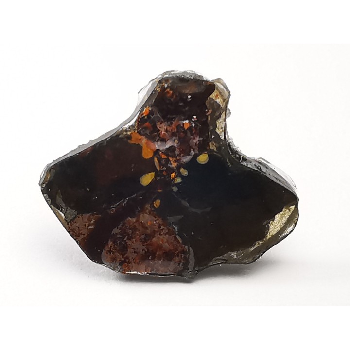 METEORITE pallasite Seymchan