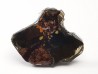 METEORITE pallasite Seymchan
