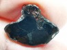 METEORITE pallasite Seymchan