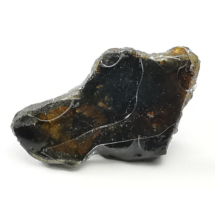 METEORITE pallasite Seymchan