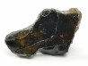 METEORITE pallasite Seymchan