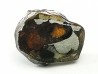 METEORITE pallasite Seymchan