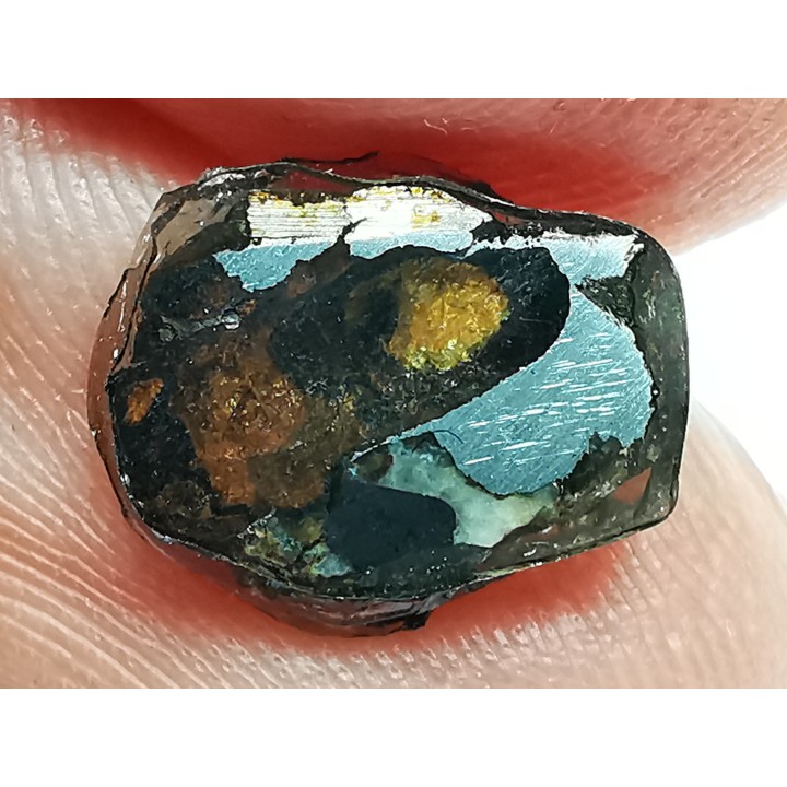 METEORITE pallasite Seymchan