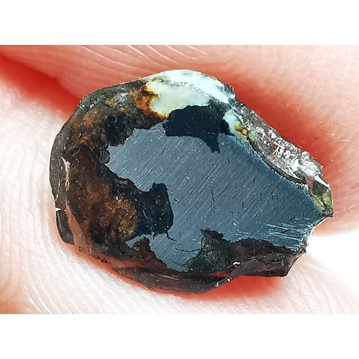 METEORITE pallasite Seymchan