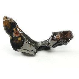 METEORITE pallasite Seymchan