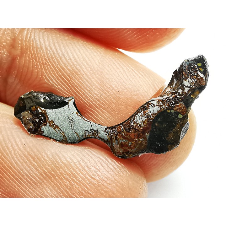 METEORITE pallasite Seymchan