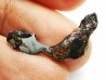 METEORITE pallasite Seymchan