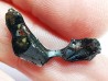 METEORITE pallasite Seymchan