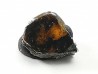 METEORITE pallasite Seymchan