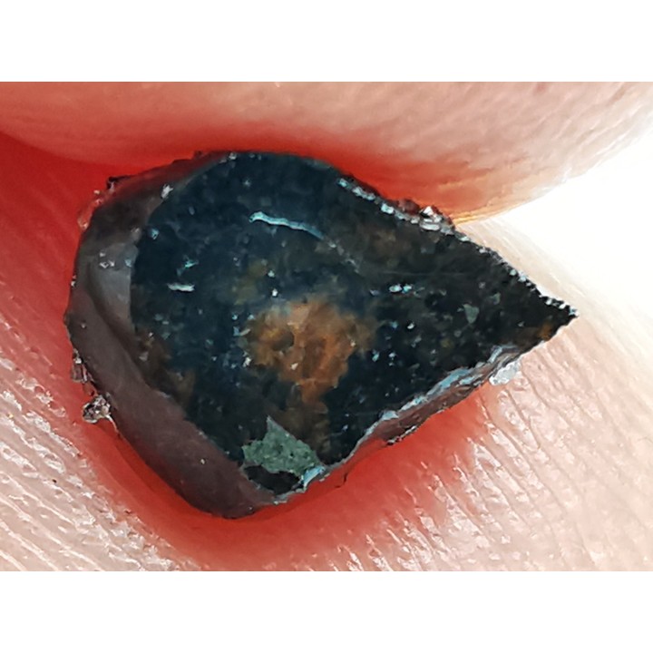 METEORITE pallasite Seymchan