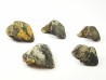 RHYNCHOLITE Late Jurassic (Drôme)