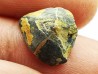 RHYNCHOLITE Jurrasique Supérieur (Drôme)