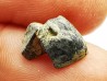 RHYNCHOLITE Late Jurassic (Drôme)