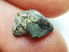 RHYNCHOLITE Late Jurassic (Drôme)