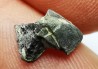 RHYNCHOLITE Jurrasique Supérieur (Drôme)