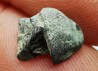 RHYNCHOLITE Late Jurassic (Drôme)