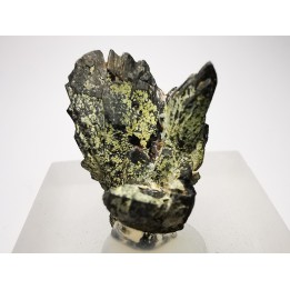 Columbo-Tantalite from Madagascar