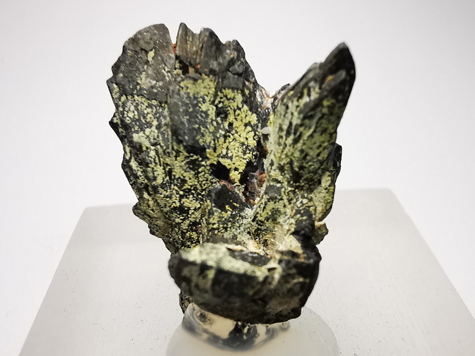Columbo-Tantalite from Madagascar
