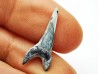 dent de requin Cretoxyrhina mantelli - Cénomanien (Texas)
