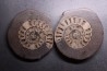 ammonite sciée: Hildoceras bifrons - UK
