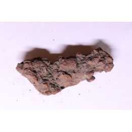 COPROLITHE DE REPTILE - cénozoïque - région de Betsiboka, province de Majunga - Madagascar